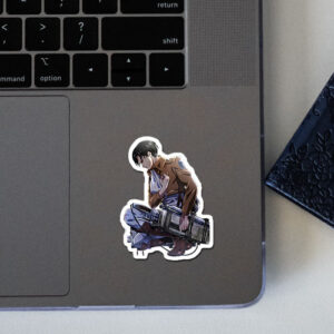 Sticker for laptop