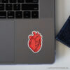 Sticker for laptop